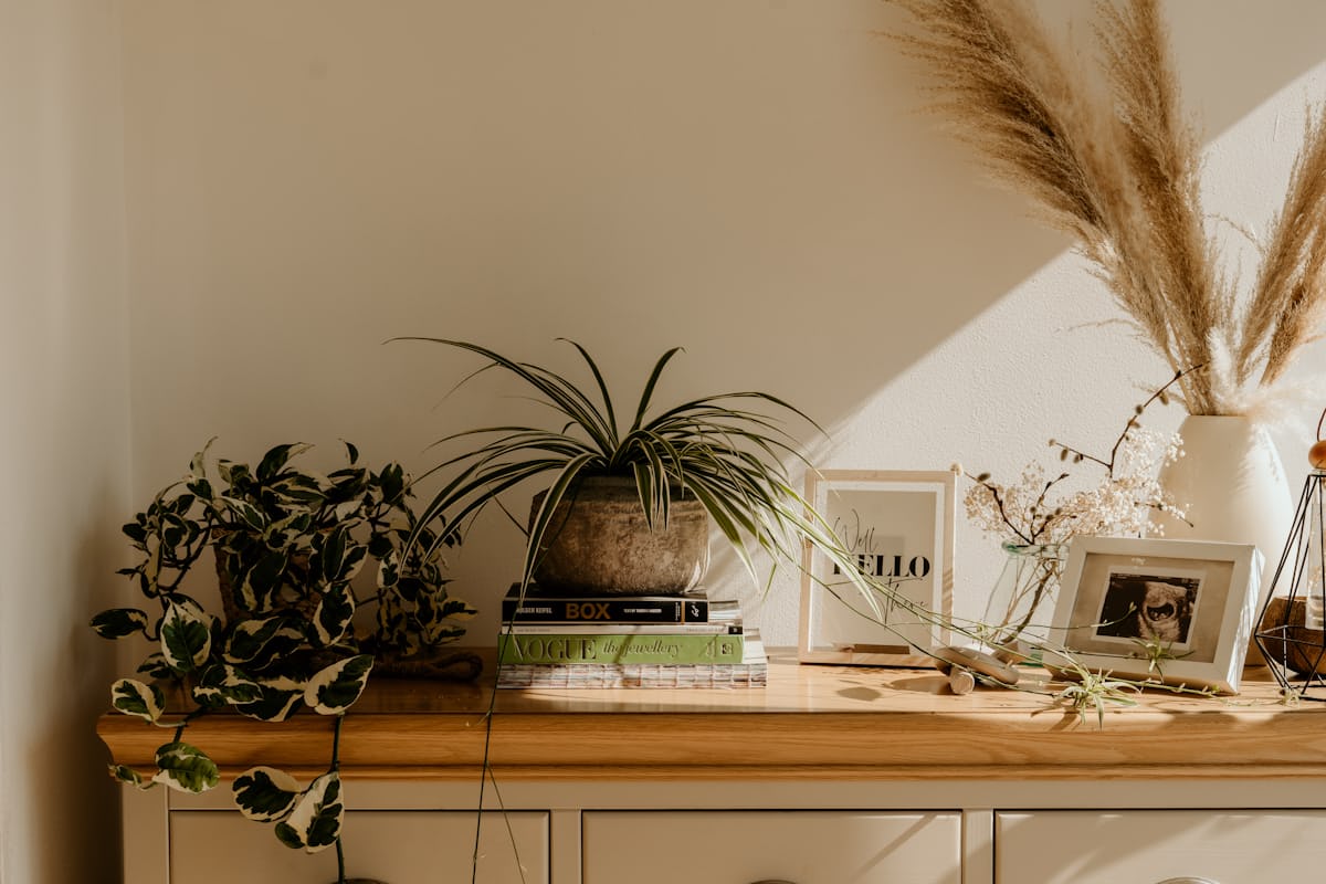 Fall interior design trends — living room